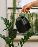 آبپاش فلزی ایکیا